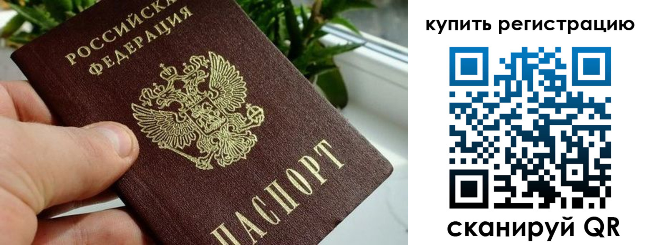 прописка гарантия в Ростове-на-Дону